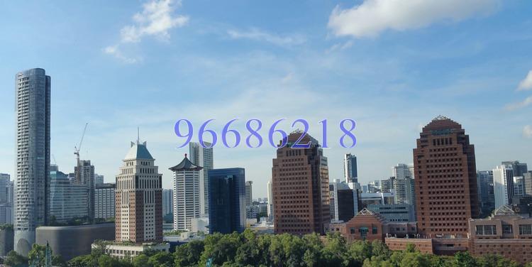 OUE Twin Peaks (D9), Condominium #158793092